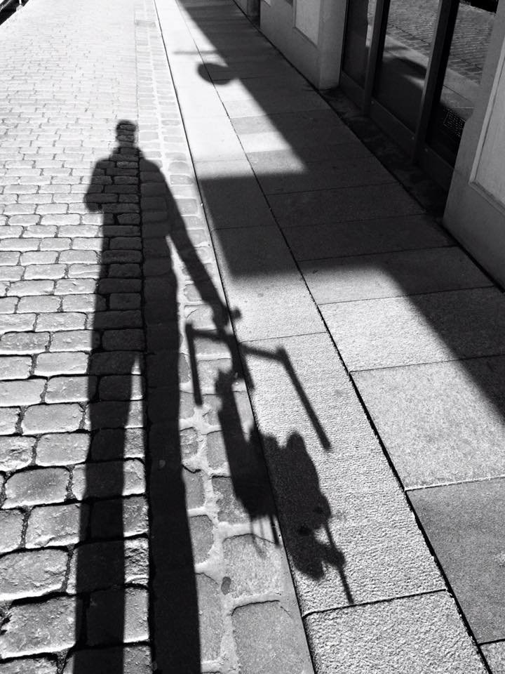 Dreh mit Gimbal an der Elbwiese